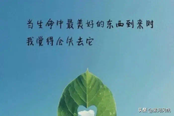 单身情歌（单身）