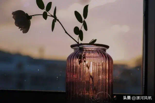 单身情歌（单身）