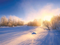 温暖围巾的唯美图片（温暖的围巾）