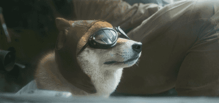 无名高热症是什么症状（热锅上的《无名》，到底值几分？）