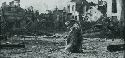 无名高热症是什么症状（热锅上的《无名》，到底值几分？）