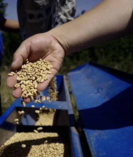 彩虹星球的东西怎么样（走进彩虹星球和他身后的“疑问”）