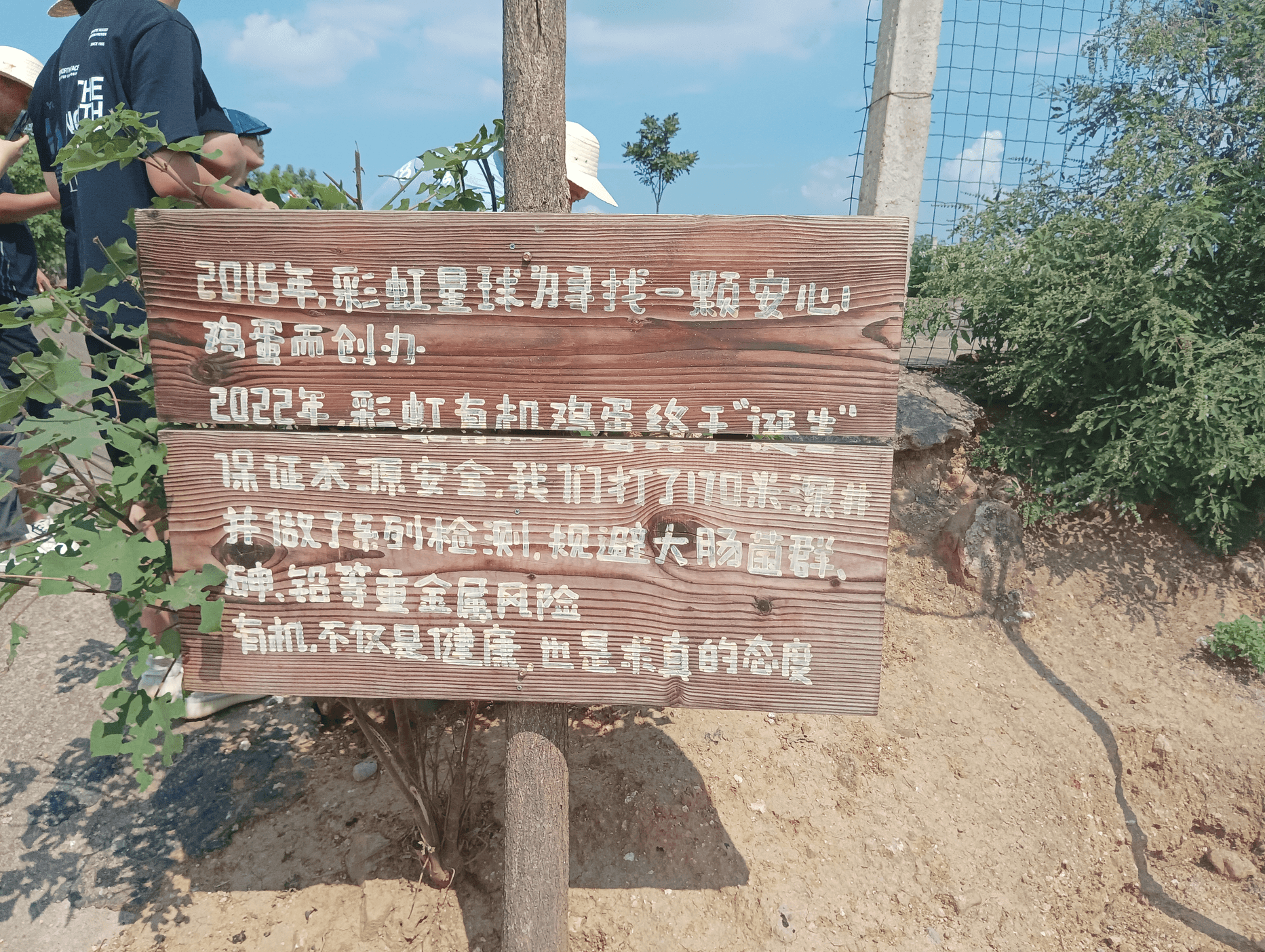 彩虹星球的东西怎么样（走进彩虹星球和他身后的“疑问”）