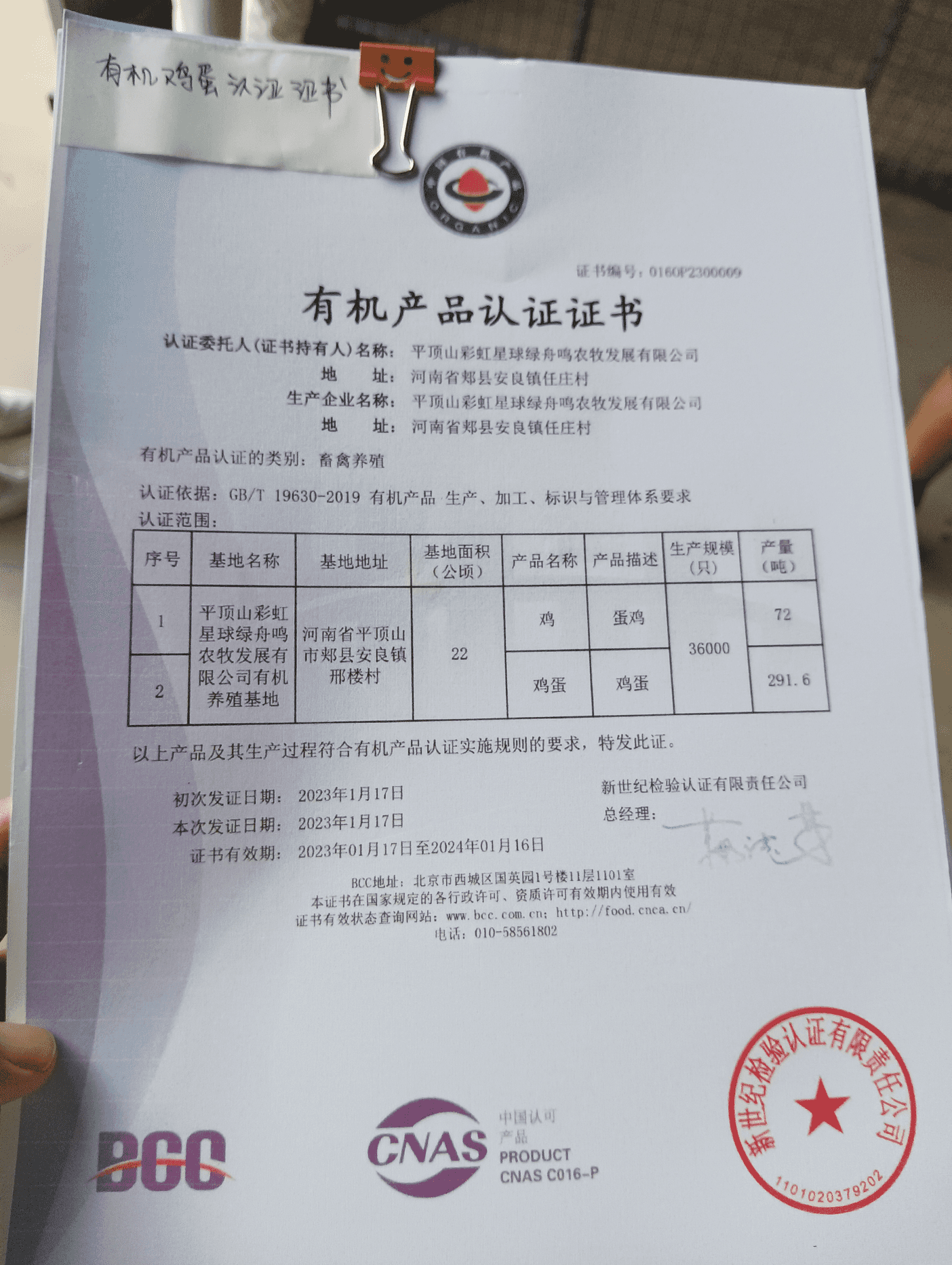 彩虹星球的东西怎么样（走进彩虹星球和他身后的“疑问”）