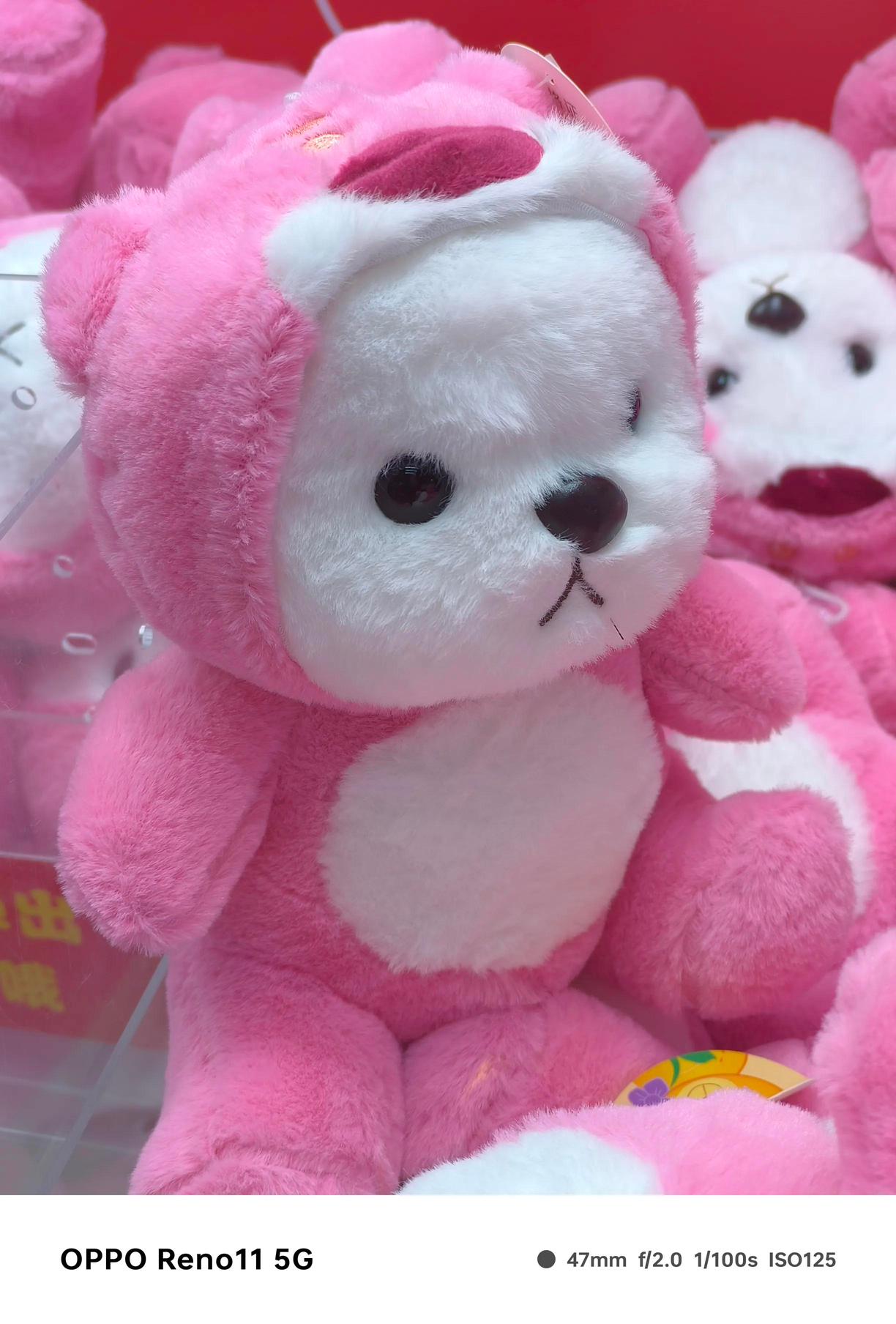 opporeno11什么时候上市（OPPO Reno11全面评测报告：两千元区间的时尚影像良品）