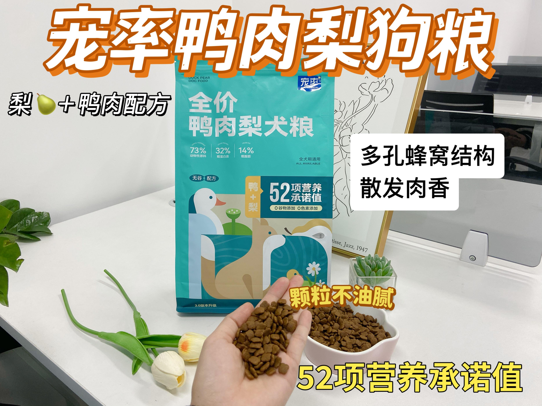 养狗买狗（买狗一定“5不养”，不是误导，而是教训和经验）