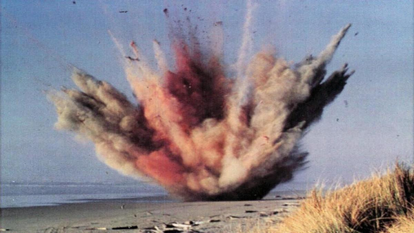 鲸爆会伤到人吗（鲸爆有多恐怖？鲸鱼海中自爆，鲜血染红海域，内脏从肚子里翻出来）