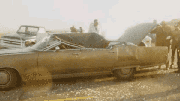 鲸爆会伤到人吗（鲸爆有多恐怖？鲸鱼海中自爆，鲜血染红海域，内脏从肚子里翻出来）