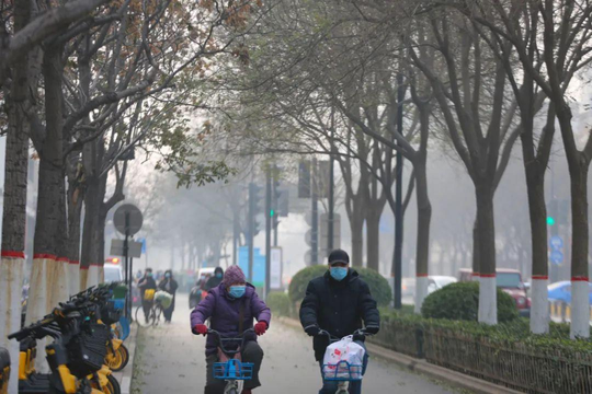 男人再忙都会给你发信息（正经科普：男人的“丁丁”，为什么会缩短？多半是这4个原因）