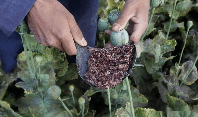 男人再忙都会给你发信息（正经科普：男人的“丁丁”，为什么会缩短？多半是这4个原因）