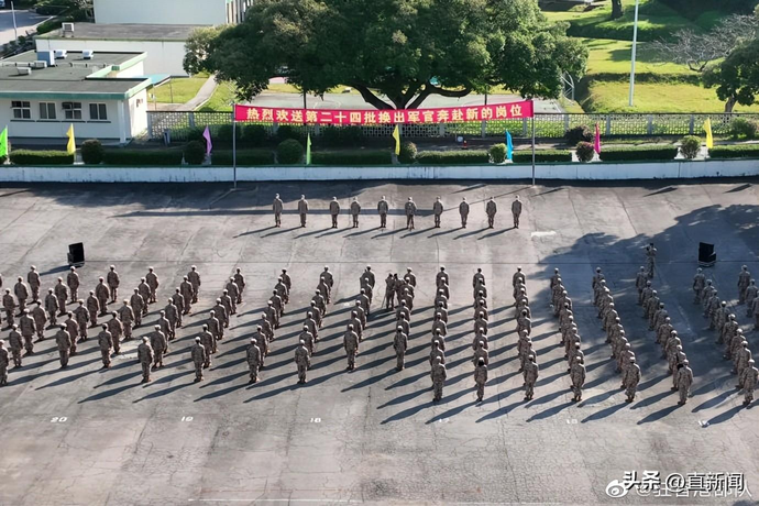 陈茂辉简介（陈茂波：各部门正全力准备“通关”丨香港一日）