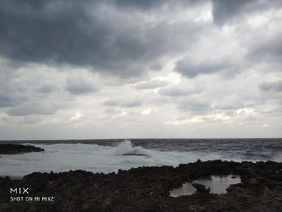 手机拍照技巧从入门（手机拍照全教程！看这篇就够了）