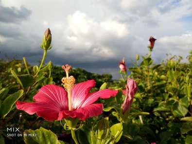 手机拍照技巧从入门（手机拍照全教程！看这篇就够了）