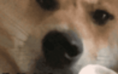 “大流量卡”都是骗人的！套路多，到底能有多坑？