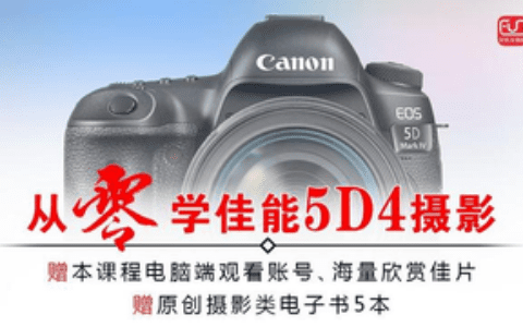 管理员的相片（照片太多、找不到了？为你介绍管理照片的8个好处及4种方法）